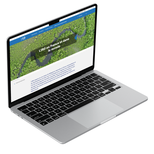 Maintenance applicative PHP Symfony IRD par Codein